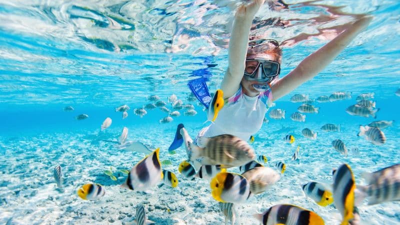 Why Timeshare Resorts Offer the Wonderful Vacation Experience